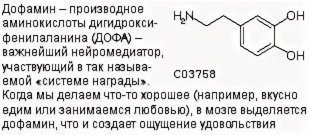Что поднимает дофамин. Производные аминокислот дофамин. дофамин продукты. дофамин где содержится. дофамин в каких продуктах.