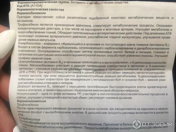 Кокарнит инструкция для чего. Кокарнит состав витаминов. кокарнит уколы инструкция по применению. кокарнит уколы инструкция по применению отзывы. кокарнит уколы от грыжи.
