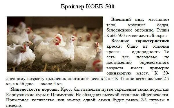 Характеристика кроссов