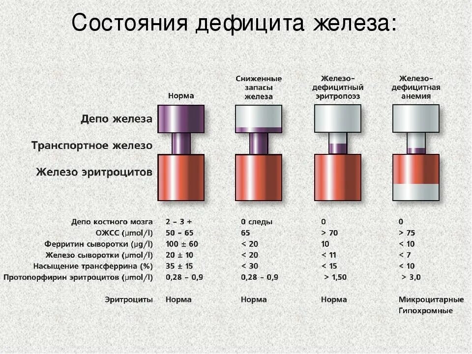 Недостаток железа в организме. Понижено железо что делать. Железо недостаток симптомы. Понижено железо что делать. Избыток железа симптомы.