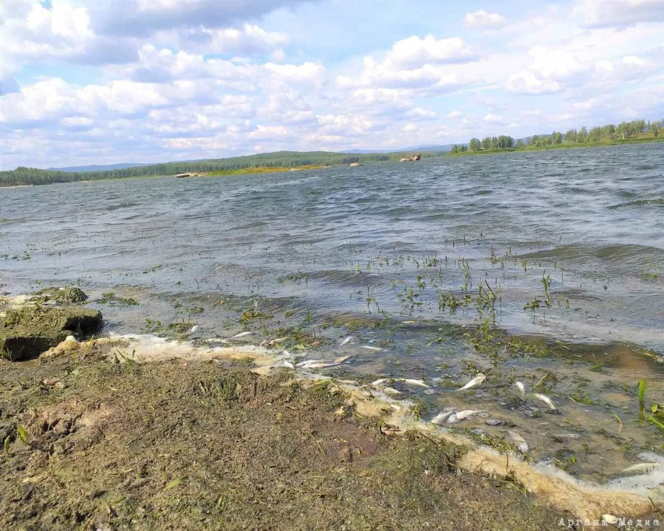 Погода на аргазях. Озеро Аргаяш. Озеро Аргаяш Челябинская область. Озеро Кумкуль. Озеро Кумкуль Челябинская область.