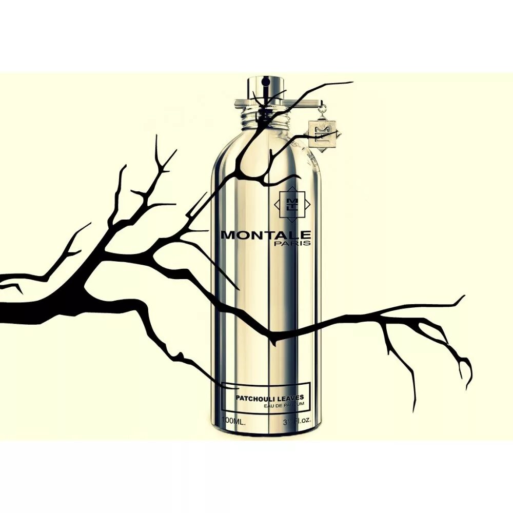 Montale Patchouli leaves. Монталь пачули Ливс. Духи Patchouli leaves. Ароматы с пачули Монталь. Montale patchouli