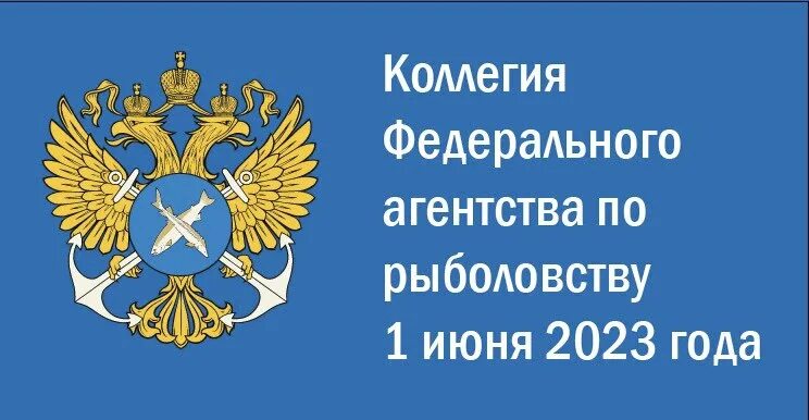 деятельность федерального агентства по рыболовству. росрыболовство официальный сайт. деятельность федерального агентства по рыболовству. федеральное агентство по рыболовству. территориальное управление федерального агентства.