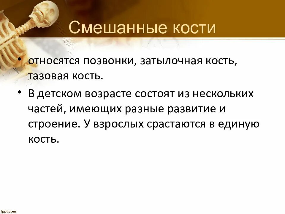 5 групп костей. Смешанные кость примеры. Смешанные кости человека. Смешанные кости позвонки. Смешанные кости строение.