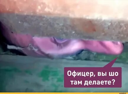 Что ты там делаешь прост