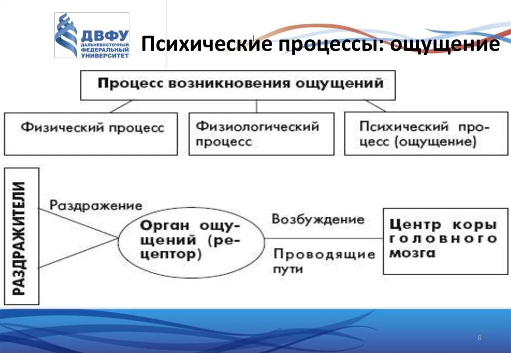 Процессы ощущения в психологии. Психический процесс ощущение. Психологический процесс ощущение. Ощущение как психический познавательный процесс. Психические процессы кратко