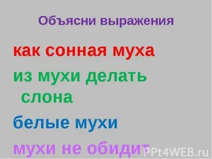 Фразеологизм как сонная муха
