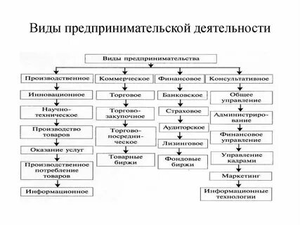 Виды деятельности любой компании