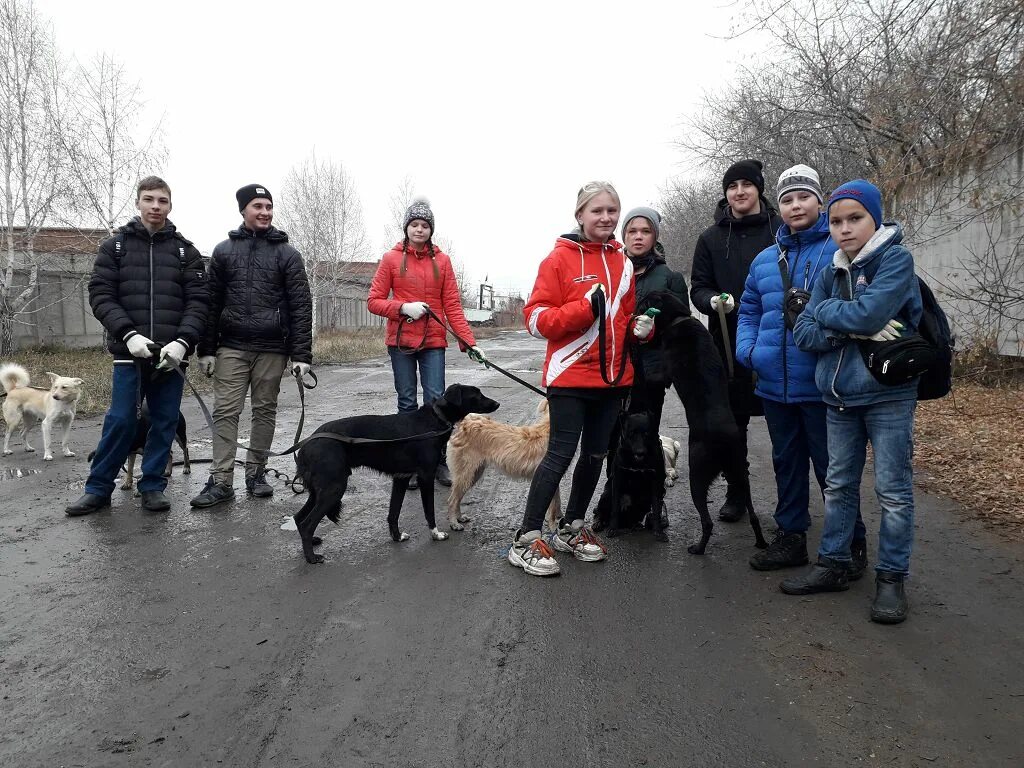 Сайт приют друг. Приют друг Омск. Приют верхний Чов. Приют Дружба дети 2023 года. Основатель приюта друг.