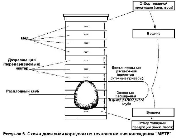 Что входит в базовую часть умного улья. Кенийский улей для пчел чертежи. Улей Роже Делона. Ульи Цебро чертежи. Схема перестановки многокорпусных ульев.