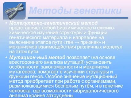 Главная генетики