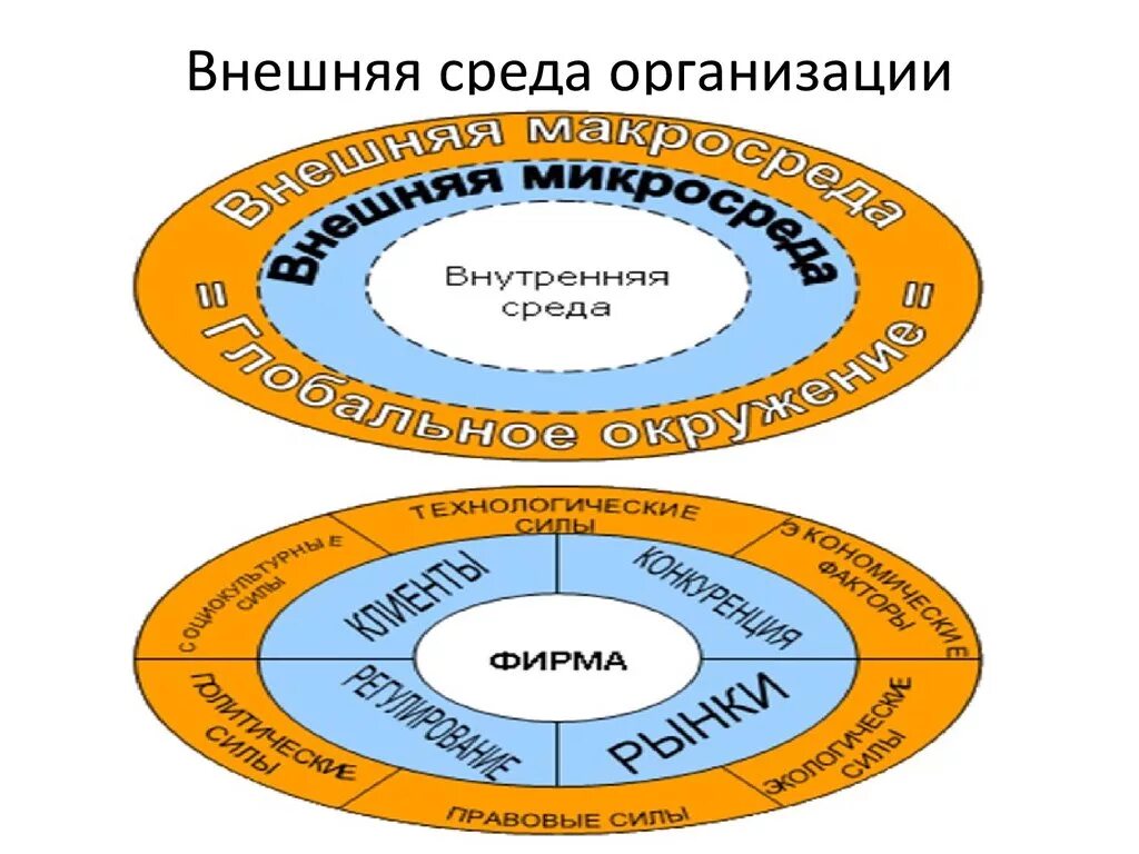 Организация ее внутренняя и внешняя среда