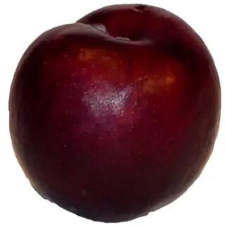 Plum's