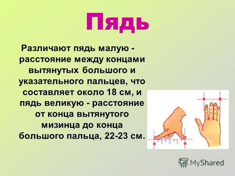 Какие плоды длиною в пядь. Пядь. Малая пядь. Великая пядь. Пядь в см.