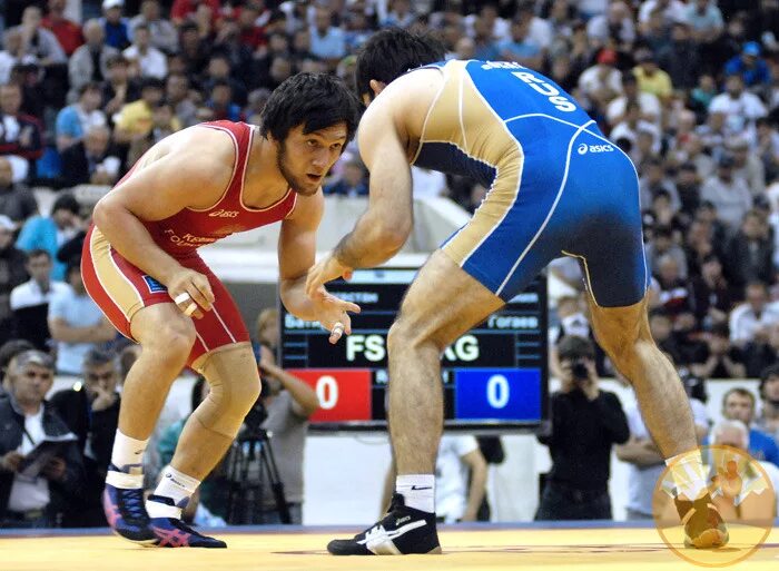 адамом батыровым. адамом батыровым. газимагомедов батыров. адам батыров бахрейн. адамом батыровым.