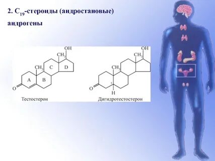 Андрогены