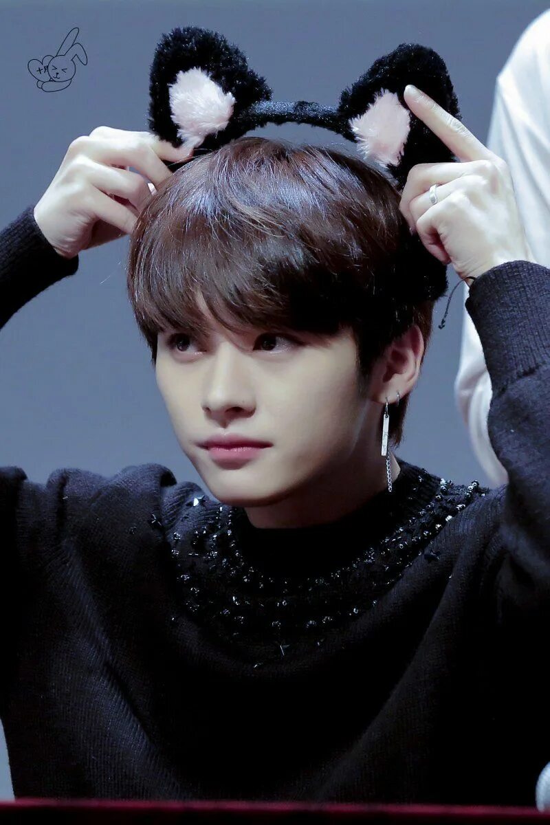 Коты минхо из стрей. Суни и минхо. минхо stray kids. минхо стрэй кэтс. минхо стрей коты.