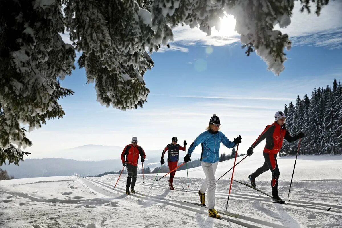 We like skiing. Лыжник. Лыжи спорт. Беговые лыжи. Прогулка на лыжах.