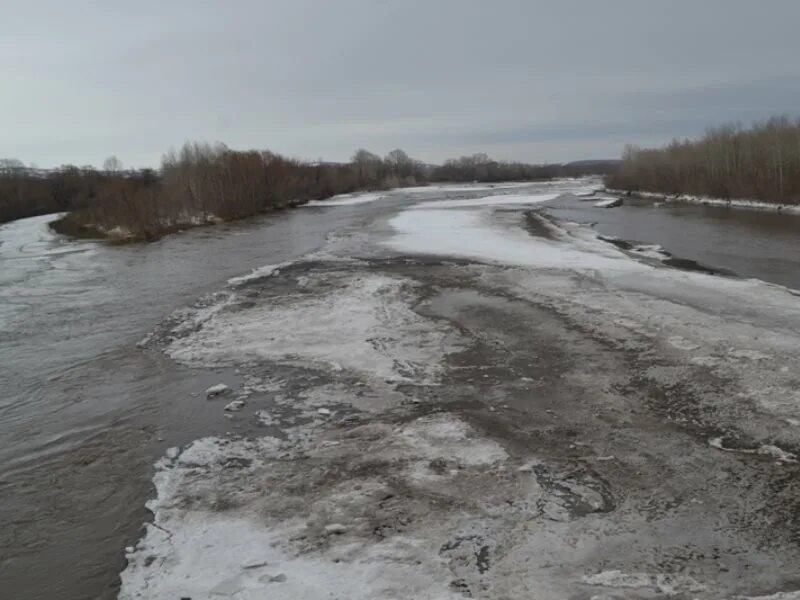 Погода карпово второе алтайский край