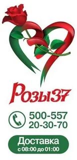 Розы 37 отзывы