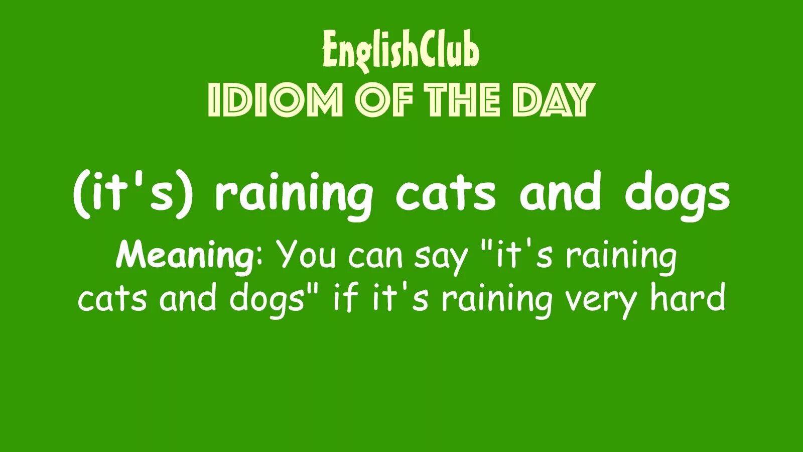 It s raining cats. Cats and Dogs идиома. Идиомы raining Cats and Dogs. Идиома it's raining Cats and Dogs. Rain Cats and Dogs идиома.