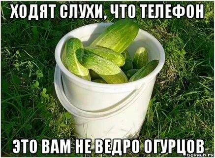 Огурцы мага