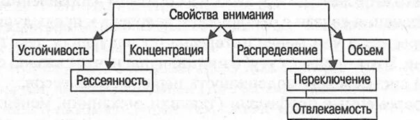 Определите свойства внимания. Свойства внимания. Свойства внимания в психологии. Внимание в психологии таблица. Функции внимания в психологии таблица.