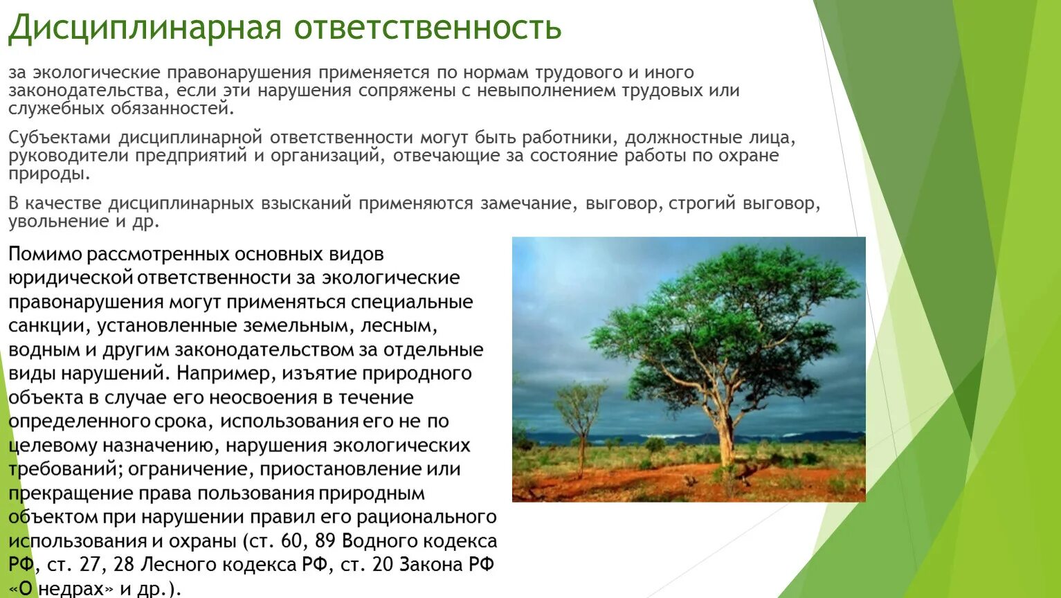 Экологическое право виды правонарушений. Ответственность за экологические правонарушения. Экологические правонарушения дисциплинарная ответственность. Дисциплинарная ответственность за экологические проступки.