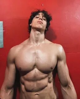 Focus on Pecs (2024194) 