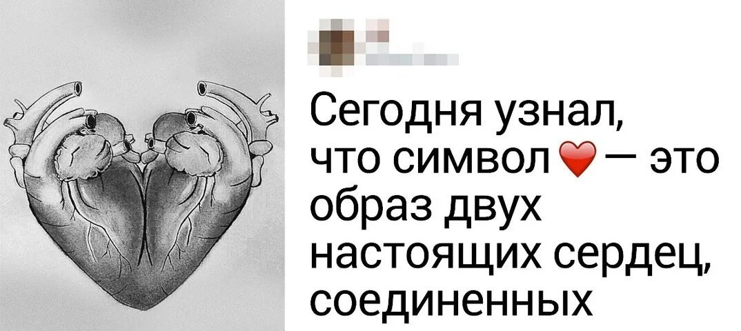 Почему сердце так называется