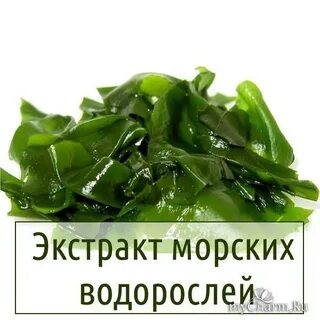 Экстракт морских