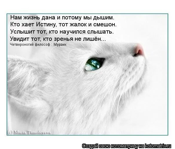 Жалко тома. Жалок и смешон. Жалок тот. Жалкота. Кто смотрит тот увидит кто слышит тот услышит.