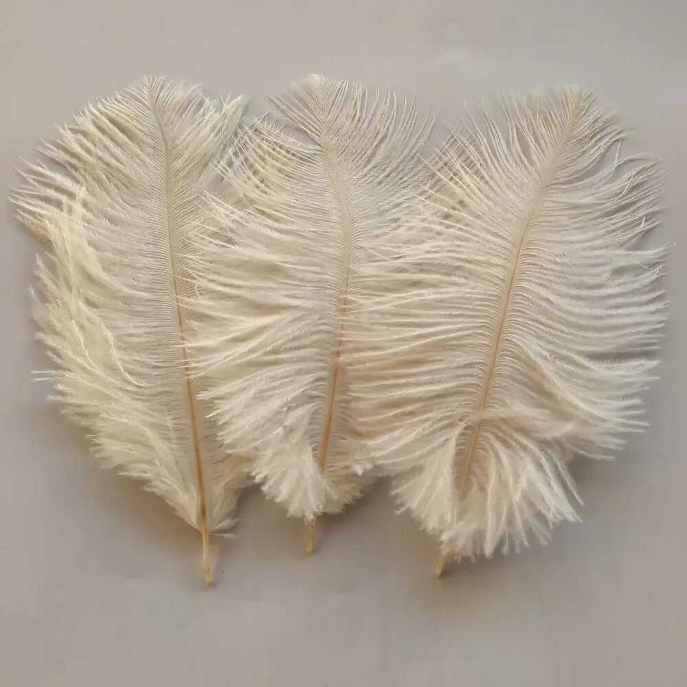 Feather 6