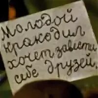 Молодой крокодил ищет друзей. Молодой крокодил хочет завести себе друзей. Крокодил Гена ищет друзей. Гена ищет друзей.