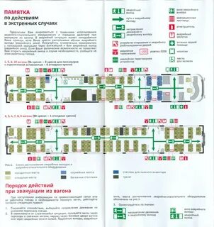 Поезд ласточка какие места