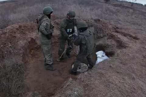 Сводка 23 ноября 2023