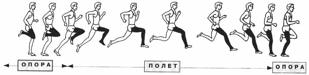 Схема 1 шага. Переменный одншажный ход. Ходьба в различном темпе. Фазы шага человека. Названия шагов степ аэробики схема.