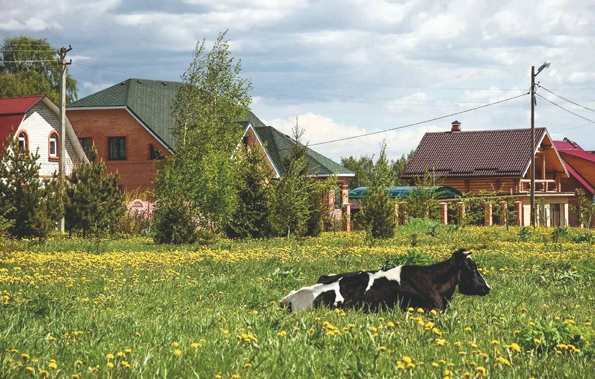 Деревня Вестменхег Швеция. Сельская местность. Современное село. Швеция Деревенские пейзажи. Сельская