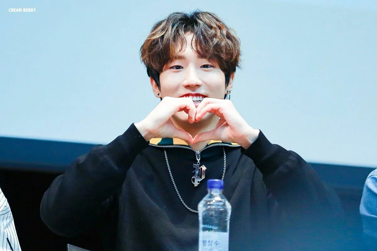 Джисон фансайн. Джисон из stray kids. Хан джисон 2022. Хан стрей кидс др. Хан джисон.