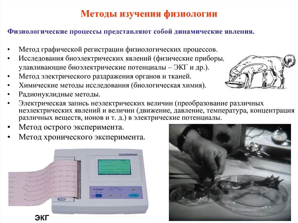 Методики изучения человека. Метод обследования физиология. Методы исследования физиологических функций физиология. Метод регистрации физиологических процессов. Метометоды изучения физиологии.