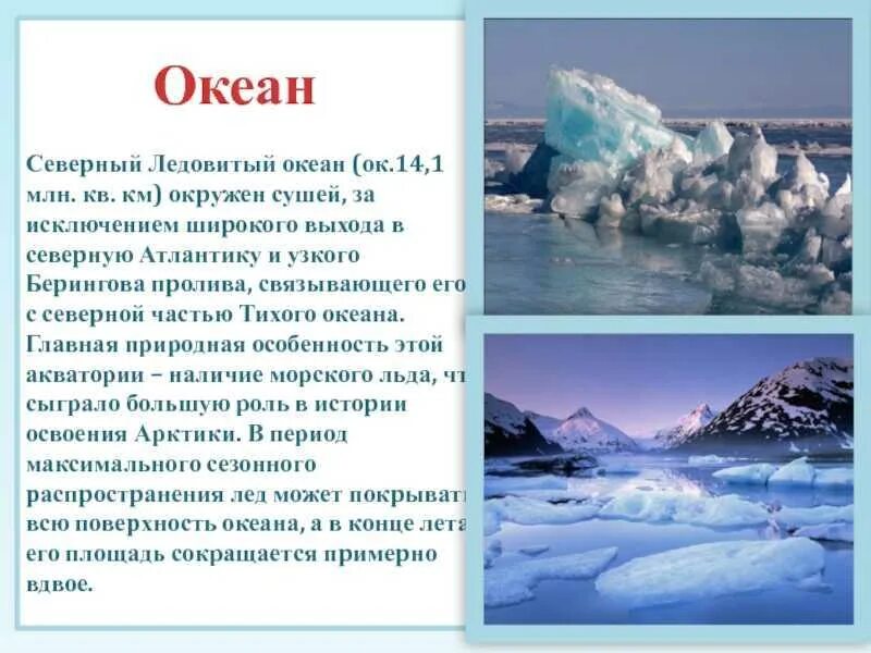Северно Ледовитый акеан. Океан Северный Ледовитый океан. Северлделовитый океан. Северный Ледовитый океан информация. Океан северного ледовитого презентация