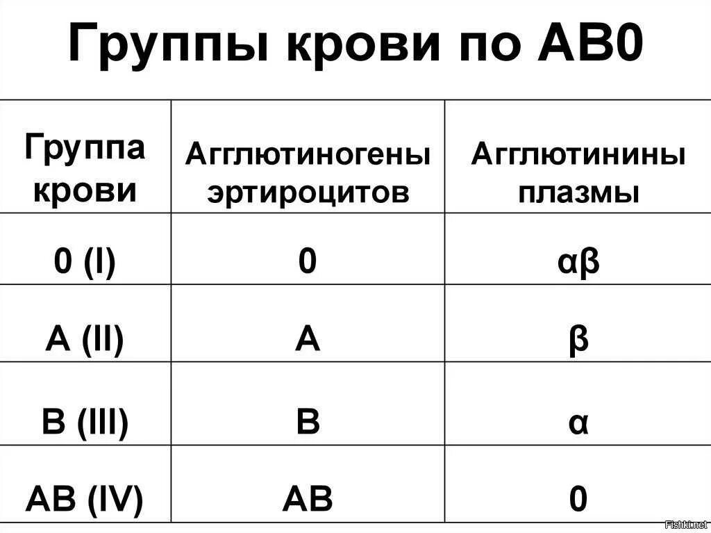 3 отрицательная как пишется