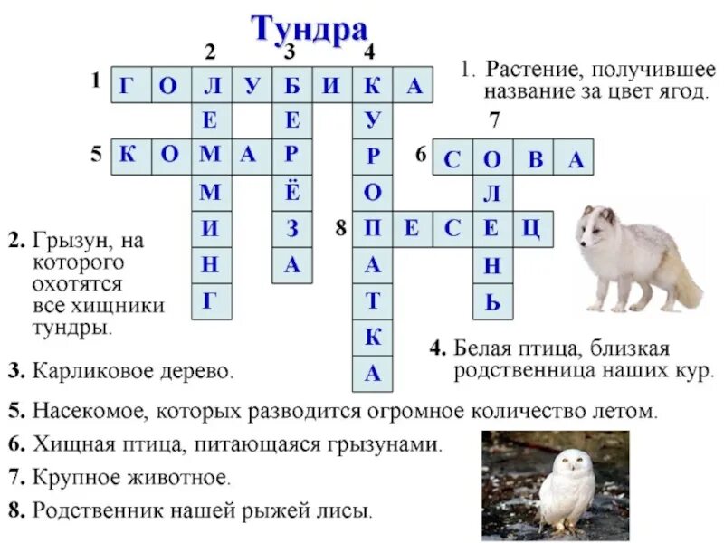 Кроссворд природная зона с вопросами. Кроссворд на тему животные и растения. Кроссворд на тему животные. Кросордна тему животные. Кроссворд на тему животные с ответами.