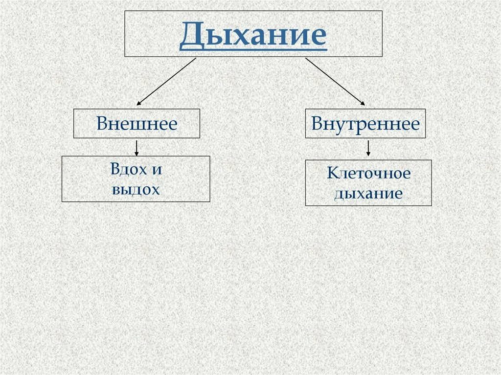 Вдох и выдох таблица. Кластер по теме дыхательная система. Кластер на тему дыхание. Кластер органы дыхания. Кластертна тему дыхание.