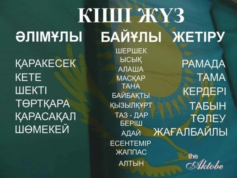 Логотипы рода Адай. Казахский жуз. Кіші жүз картинки. Тумалас шежире. Кіші жүз ханы