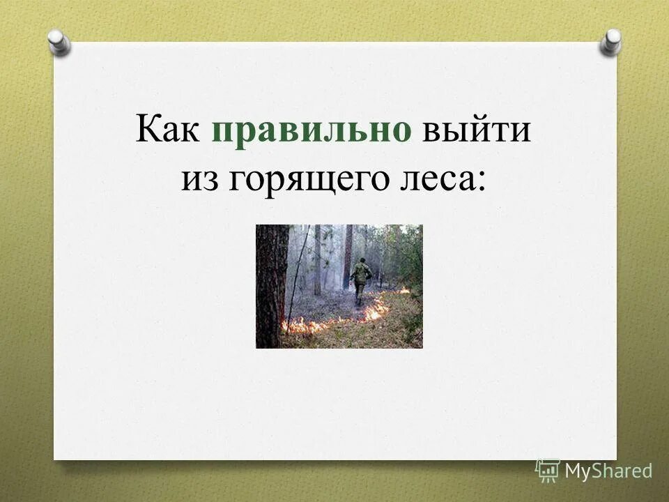 как переходить дорогу если нет перехода. на работу после самоизоляции. декретный отпуск как правильно. как правильно выходить из диеты. как правильно вышли или вышло.