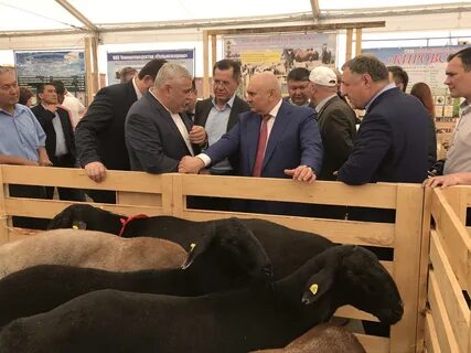 Департамент животноводства и племенного дела минсельхоза