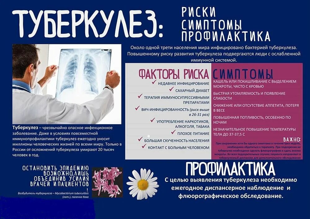 Профилактика туберкулеза. Профилактика туберкуд. Профилактика борьбы с туберкулезом. Туберкулёз проыилактика.