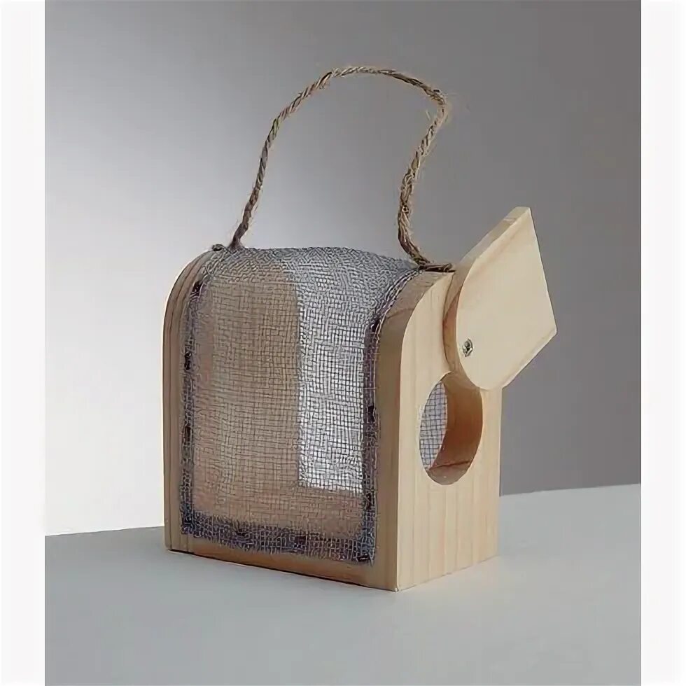 Box bug. Box bug