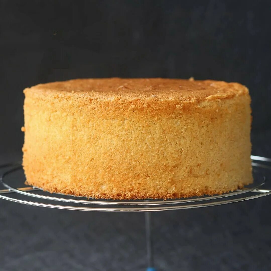 Бисквит для торта который всегда получается. Бисквит для торта. Масляный бисквит. Маковый бисквит для торта. Клеклый бисквит.